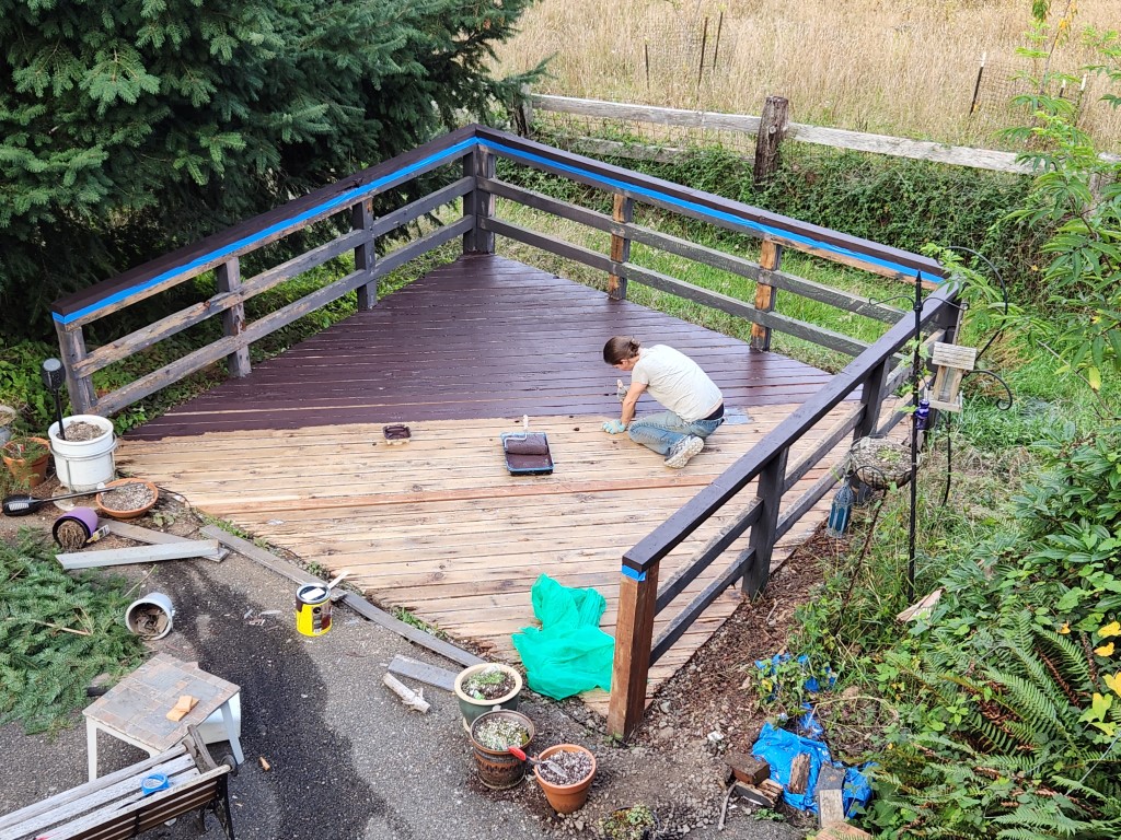 Deck Restoration (Upper & Lower)